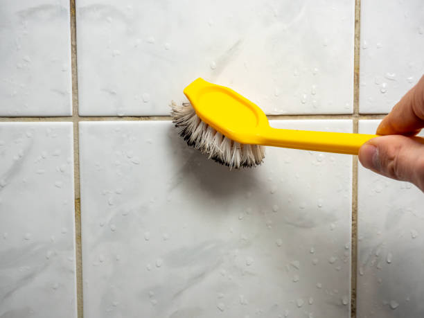 Best Mold Removal and Inspection  in Steele Creek, AK