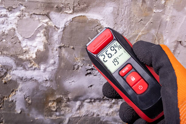 Attic Mold Removal in Steele Creek, AK