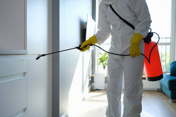 Best Home Mold Removal  in Steele Creek, AK